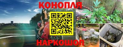 стафф Обнинск