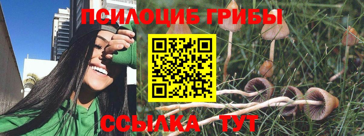 Галлюциногенные грибы ЛСД Семилуки